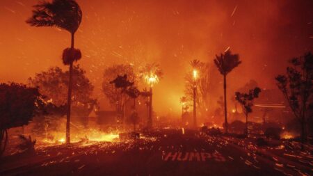 Live updates: The latest on the deadly Los Angeles wildfires – CNN