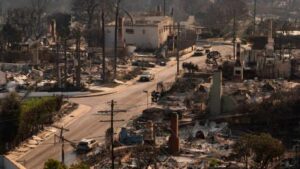 Displaced Los Angeles homeowners face price gouging after wildfires – The Business Standard