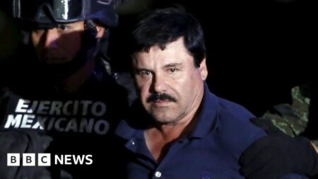 17 members of a cartel kingpin’s family were escorted into California from Mexico. Why? – Los Angeles Times