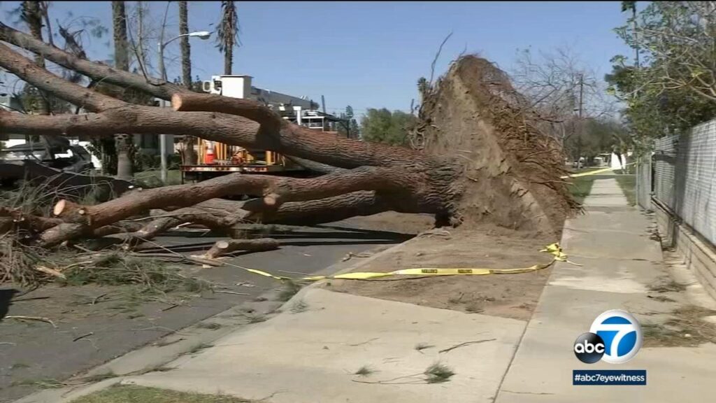 LA braces for stronger winds as fires continue to burn – BBC
