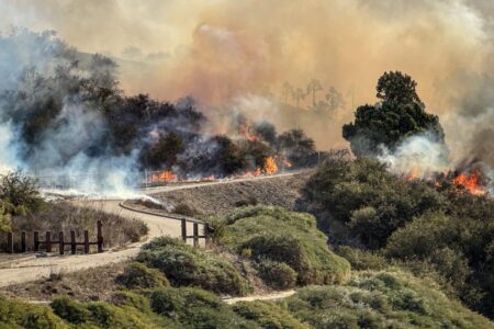 Palisades and Eaton wildfires 100% contained after nearly a month of burning – USA Today