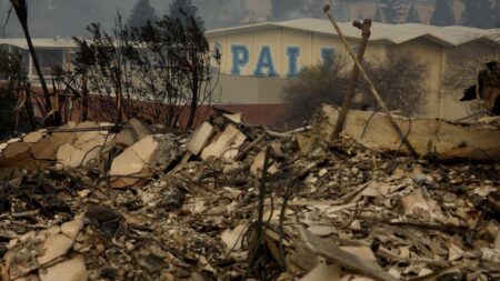 LA fires damaged at least a dozen schools. Here’s what we know. – USA Today