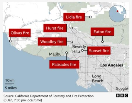 The best way to claim insurance if you lost your home or business in the Los Angeles wildfires – Fortune