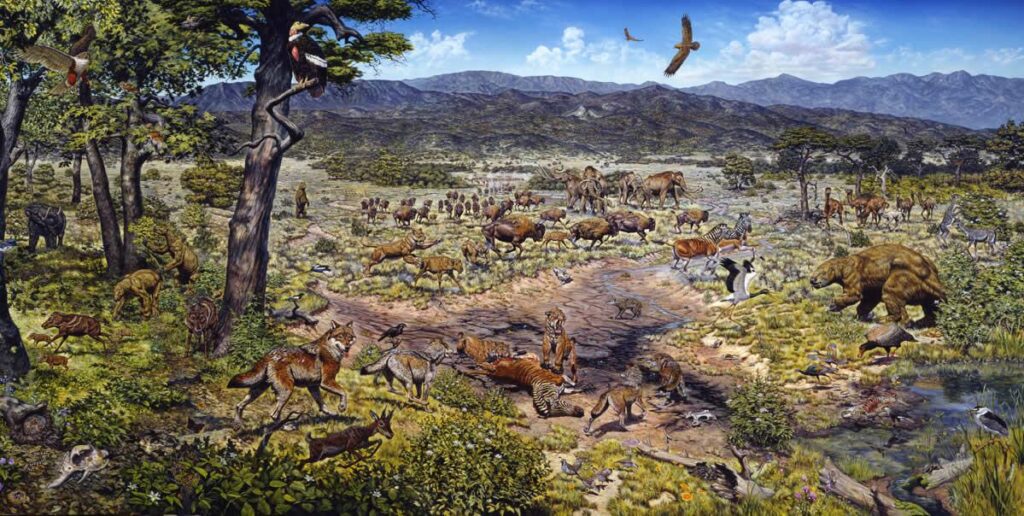‘Entire ecosystem’ of fossils 8.7m years old found under Los Angeles high school – The Guardian