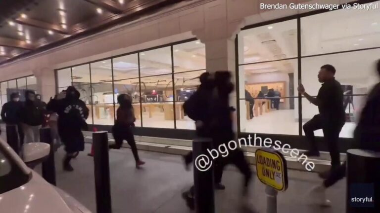 Multiple Los Angeles businesses ransacked during anti-ICE riots – Fox Business