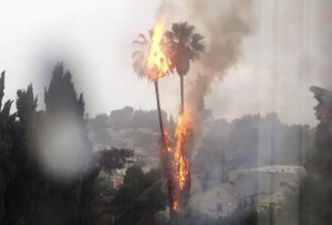 Commentary: Every July 4th gives us one of Los Angeles’ most important symbols: the flaming palm tree – Los Angeles Times