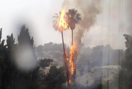 Commentary: Every July 4th gives us one of Los Angeles’ most important symbols: the flaming palm tree – Los Angeles Times