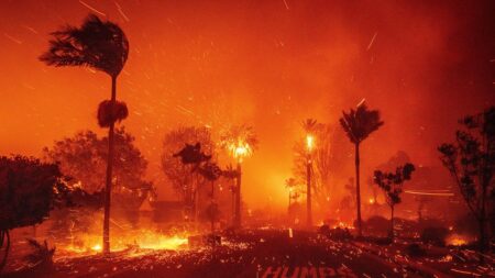Live updates: Deadly Los Angeles wildfires threaten new communities as biggest blaze expands – CNN