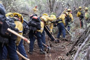If you lost your home or business in the wildfires, here’s what to do next – Los Angeles Times