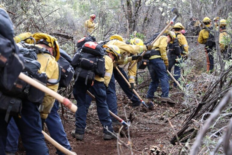 If you lost your home or business in the wildfires, here’s what to do next – Los Angeles Times