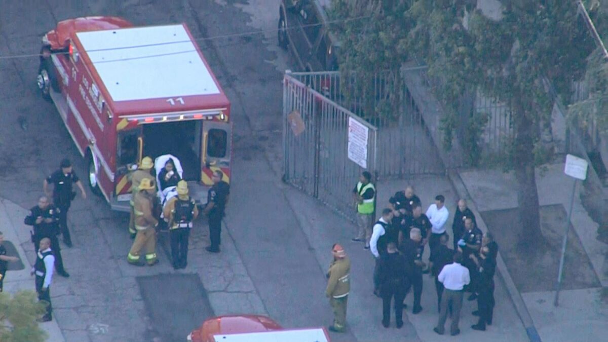 12-Year-Old Girl Involved in Los Angeles School Shooting Claims It Was ...