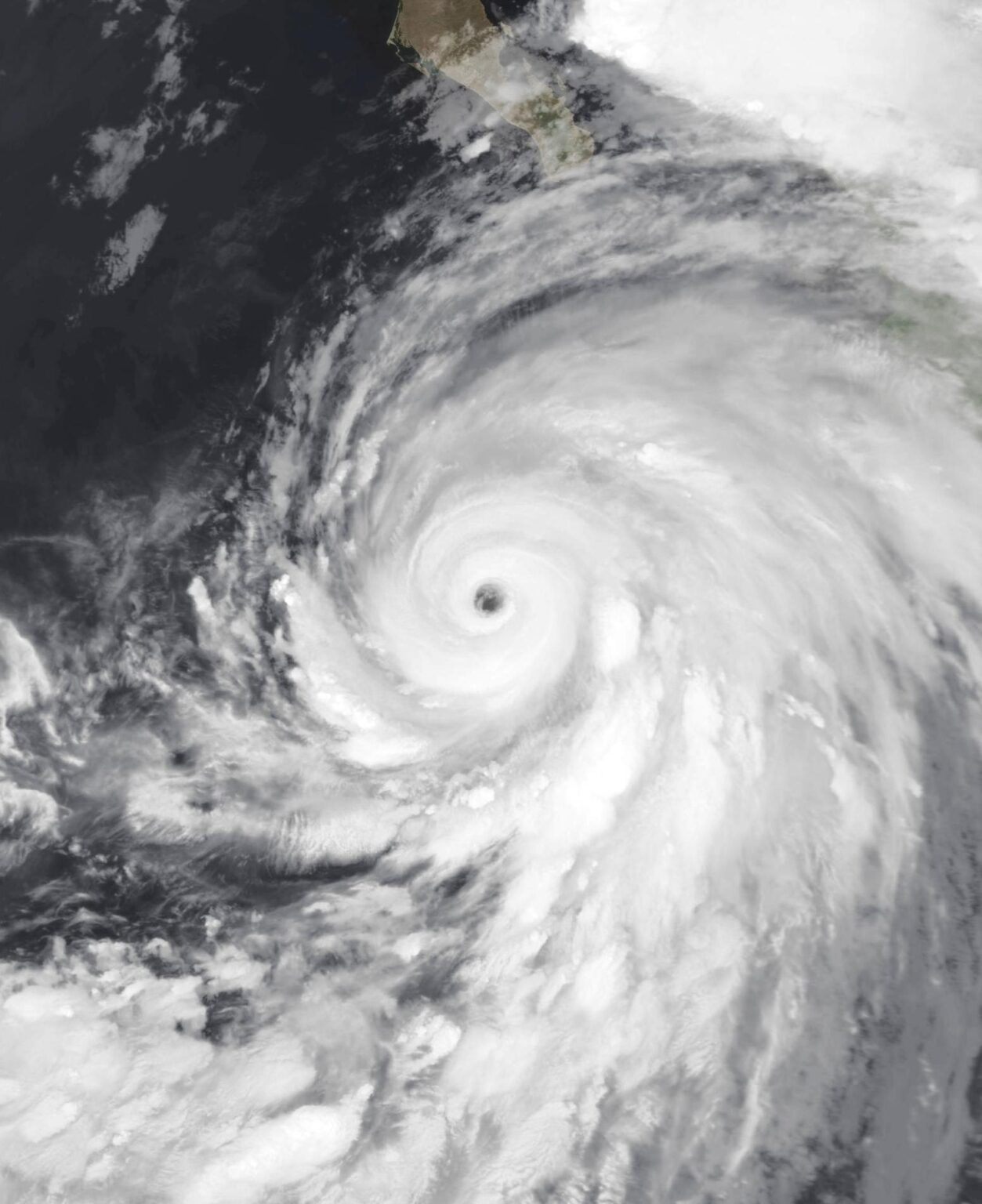 Hurricane Hilary: Los Angeles School and Transportation Updates – LATF USA NEWS