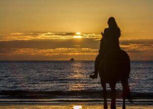 Who is Doug Emhoff? – BBC