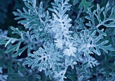 Alissa Miller, Partner, Media & Entertainment – Akin