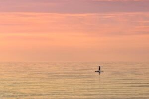Commentary: Hannah Gadsby’s “Woof!” barks a new message in queer stand-up “our comedy is for us” – Los Angeles Times