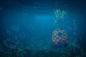 Making the Case for Bob Chesney’s Defensive Coordinator – Sports Illustrated