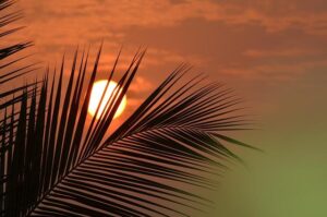 Charlotte faces DHS crackdown as agents target ‘criminal illegal aliens’ – BBC