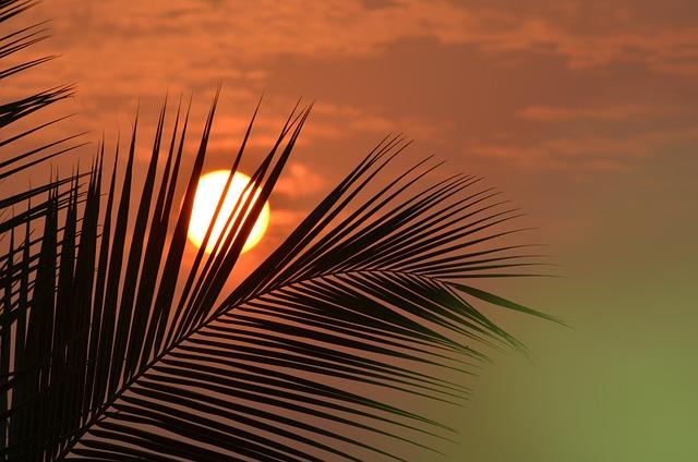 Charlotte Faces Intense Crackdown as Agents Target ‘Criminal Illegal Aliens Charlotte faces DHS crackdown as agents target ‘criminal illegal aliens’ – BBC