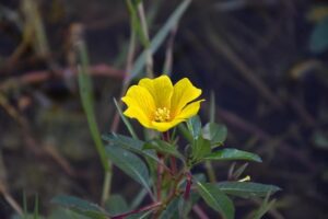 Jussie Smollett: Empire star victim of suspected hate crime in Chicago – BBC