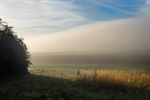 Commentary: In disparaging Reiner, Trump shows the shriveled heart of an us-versus-them presidency – Los Angeles Times