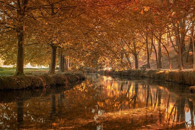 LA superintendent placed on leave after FBI raid on home and district office – The Guardian