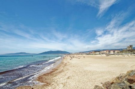 Newsom announces lawsuit against Trump’s tariffs as California stands to lose billions – Los Angeles Times