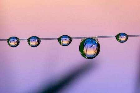 Commentary: Marco Rubio proves he really is Little Marco – Los Angeles Times