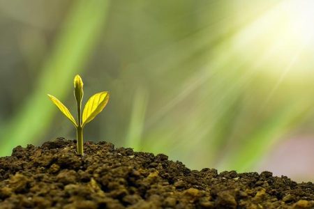 The Secret of Sustainability in Business | Yamamotoyama – JAPAN HOUSE Los Angeles