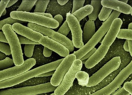 Diarrhea-causing cyclosporiasis causes hundreds to fall ill in U.S. What Californians should know – latimes.com